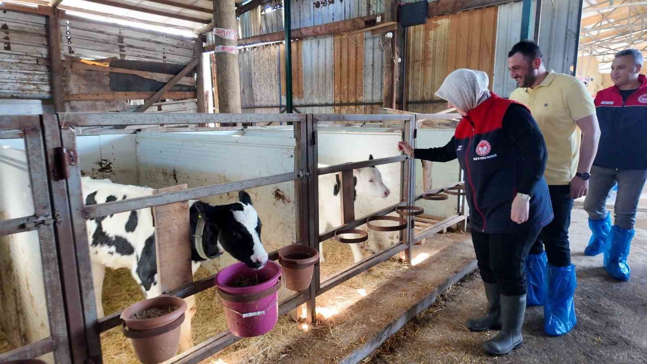 DÜZCE İL TARIM VE ORMAN MÜDÜRLÜĞÜ TARAFINDAN HAYVAN SAĞLIĞININ KORUNMASI, GÜVENİLİR GIDA...
