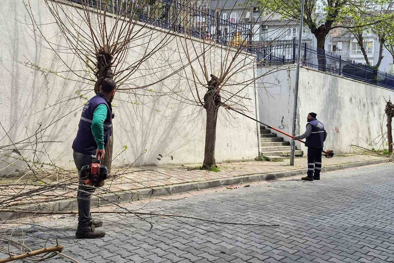 EFELER BELEDİYESİ, İLÇEDEKİ ARKEOLOJİK VE KENTSEL SİT ALANLARINDA ÇEVRE DÜZENLEME KAPSAMINDA...