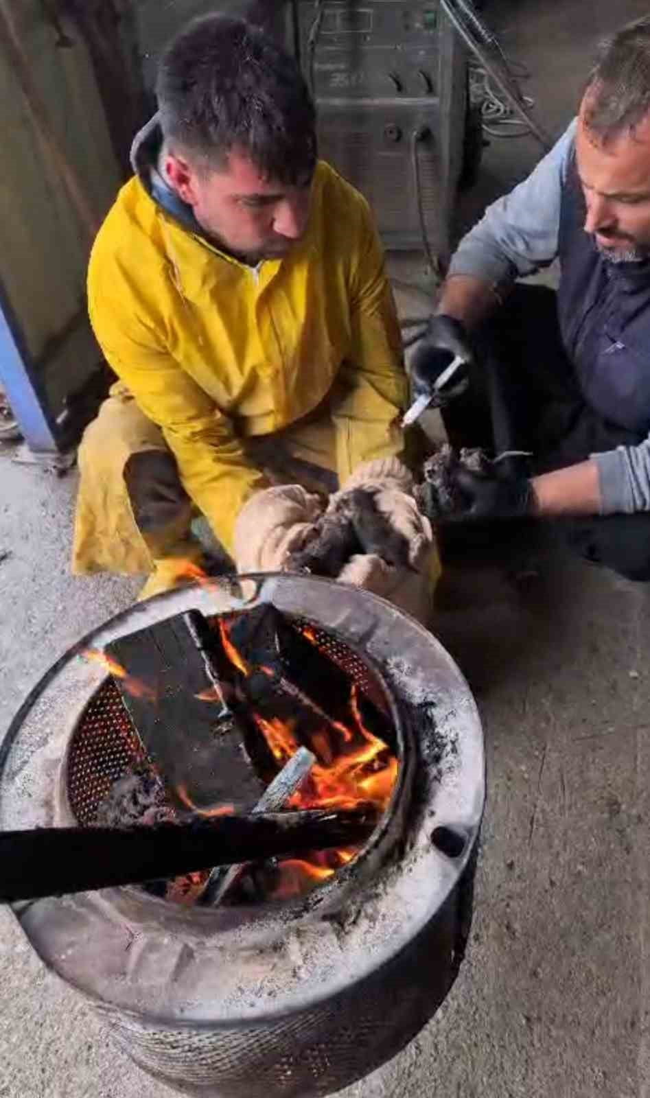 EKİP KEDİLER İÇİN SOBA YAKIP ISINMASINI SAĞLADI ARDINDAN DA ŞIRINGA İLE KEDİLERİ BESLEDİ.