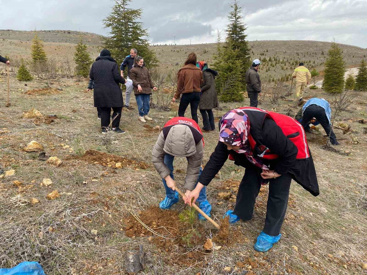 ELAZIĞ'DA FİDAN DİKİM ETKİNLİĞİ