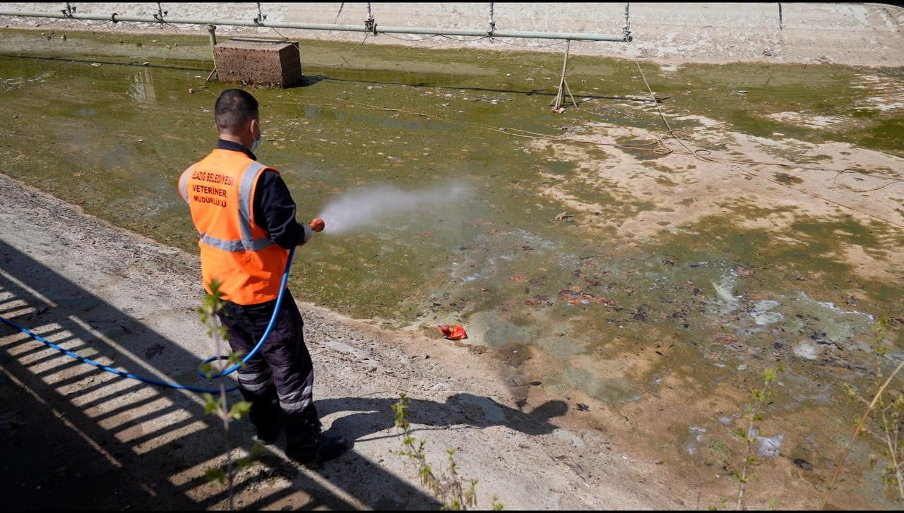 ELAZIĞ BELEDİYESİ, HALK SAĞLIĞINI KORUMAK VE ZARARLI HAŞERELERİN ÜREMESİNİ ENGELLEMEK AMACIYLA YIL...