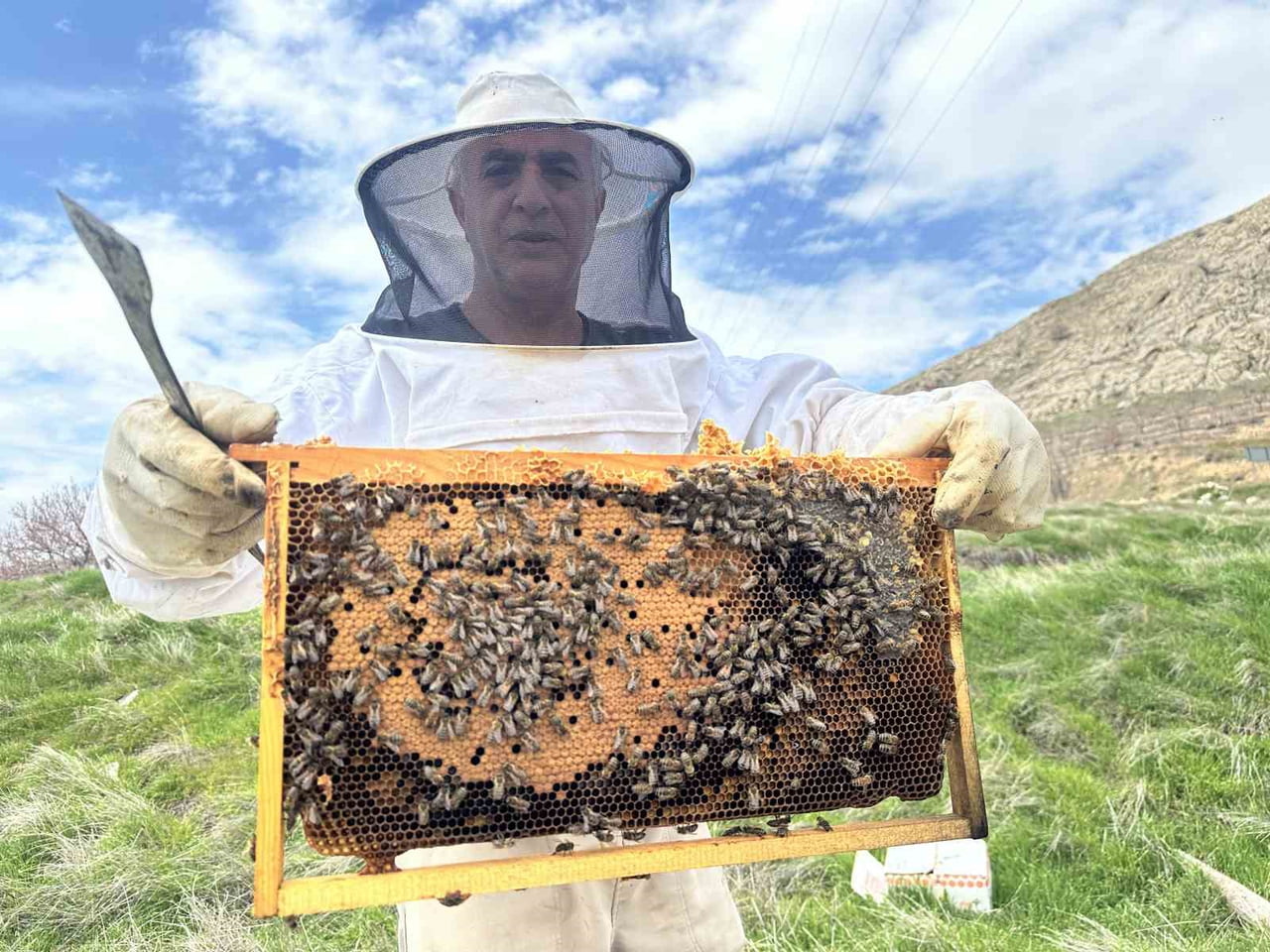 ELAZIĞ’DA ARICILAR, YAVRU DÖNEMİNE GİREN KOLONİLER İÇİN BESLEME ÇALIŞMALARINI SÜRDÜRÜYOR....