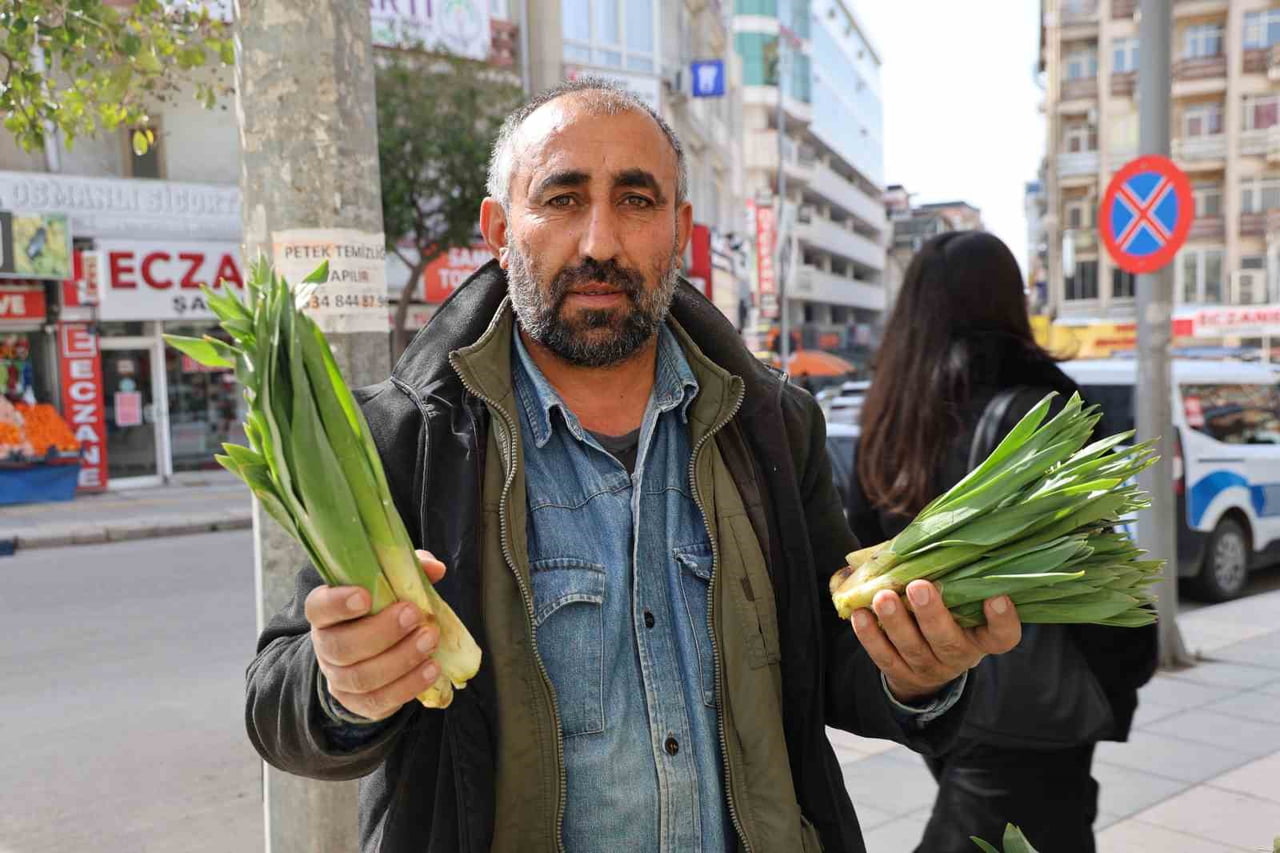 ELAZIĞ’DA DOĞADA KENDİLİĞİNDEN YETİŞEN, BİRÇOK FAYDASI OLDUĞU BİLİNEN VE DOĞAL ANTİBİYOTİK OLARAK...