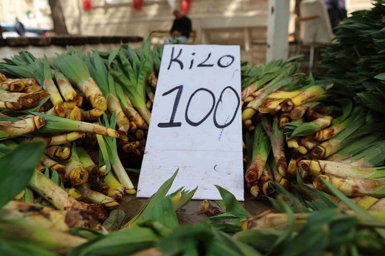 ELAZIĞ’DA DOĞADA KENDİLİĞİNDEN YETİŞEN, BİRÇOK FAYDASI OLDUĞU BİLİNEN VE DOĞAL ANTİBİYOTİK OLARAK...