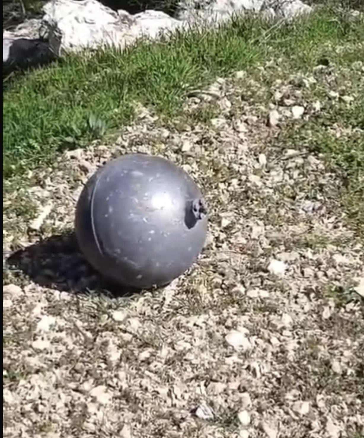 ELAZIĞ’DA KÖYLÜLERİN TARLADA BULDUĞU CİSİM TEDİRGİN ETTİ.