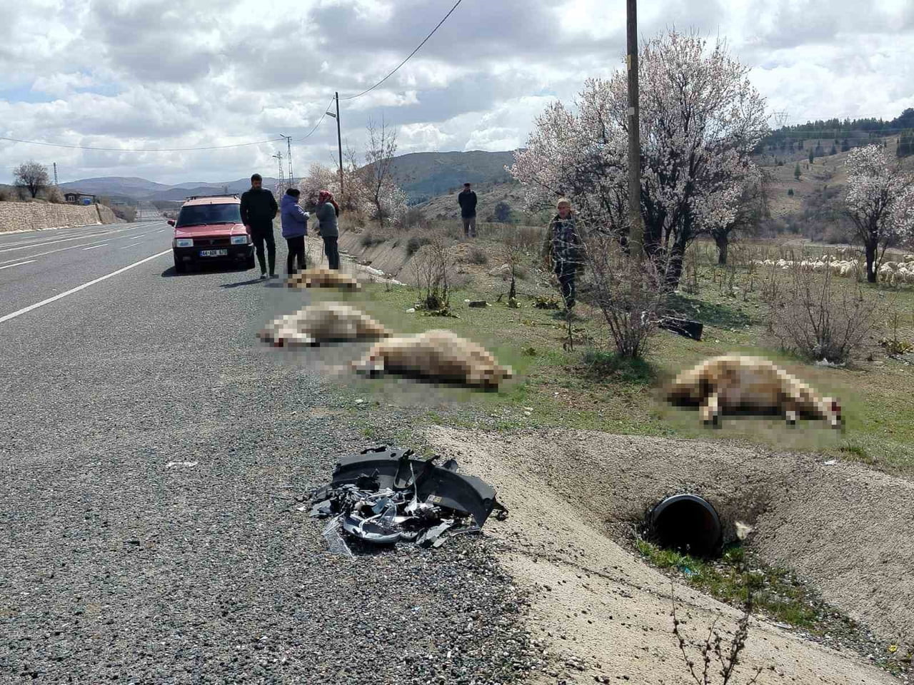 ELAZIĞ’IN KEBAN YOLUNDA MEYDANA GELEN TRAFİK KAZASINDA OTOMOBİL KOYUN SÜRÜSÜNE ÇARPTI. KAZADA 9...