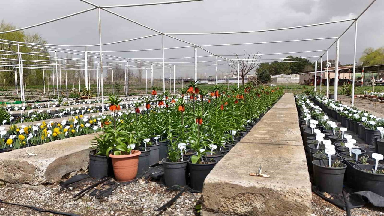 ERZİNCAN’DA BULUNAN ERZİNCAN BAHÇE KÜLTÜRLERİ ARAŞTIRMA ENSTİTÜSÜ BÜNYESİNDEKİ TÜRKİYE’NİN TEK...