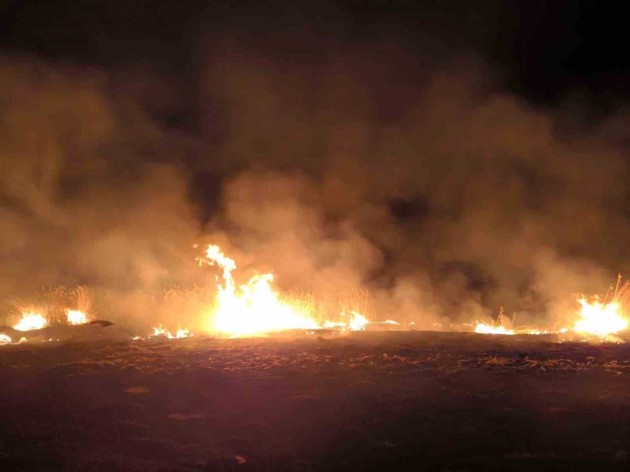 ERZİNCAN’DA ÇIKAN ANIZ YANGINI, İTFAİYE EKİPLERİNİN HIZLI MÜDAHALESİYLE BÜYÜMEDEN KONTROL ALTINA...