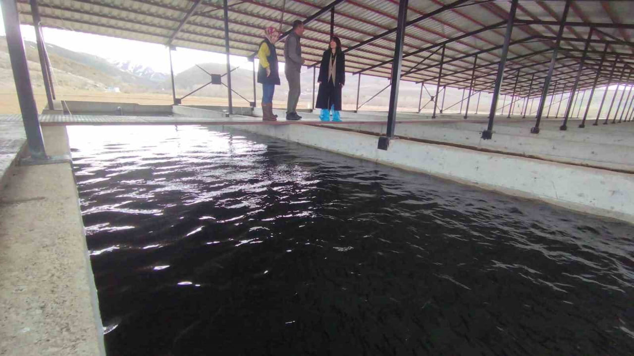 ERZİNCAN’DA ERZİNCAN İL TARIM VE ORMAN MÜDÜRLÜĞÜ EKİPLERİNCE, SU ÜRÜNLERİ ÜRETİM TESİSLERİNE...