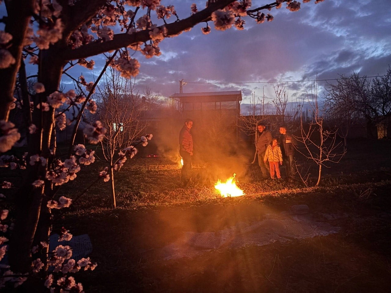 ERZİNCAN’DA HAVA SICAKLIKLARININ GECE SAATLERİNDE EKSİ DERECELERE KADAR DÜŞMESİ, ÇİÇEKLENME...