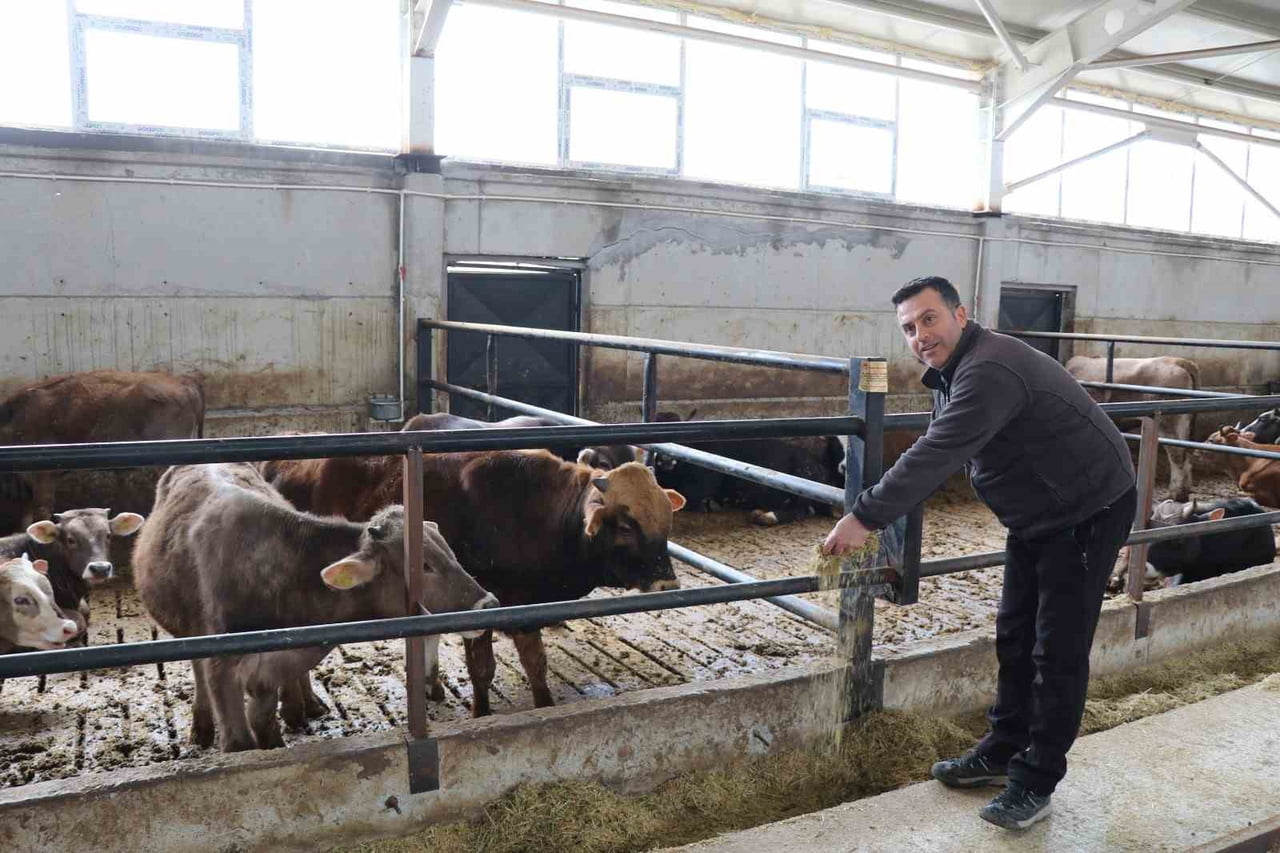 ERZURUM’UN OLTU İLÇESİNDE, DEVLET DESTEĞİYLE HAYATA GEÇİRİLEN MODERN AHIR PROJESİ HAYVANCILIKTA...