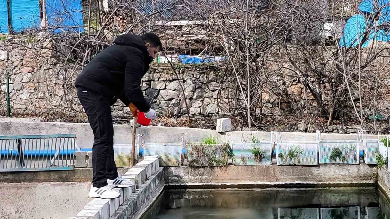 ERZURUM’UN TORTUM İLÇESİNE BAĞLI BAĞBAŞI MAHALLESİ’NDE BULUNAN ALABALIK TESİSİNDE GEÇTİĞİMİZ YIL...