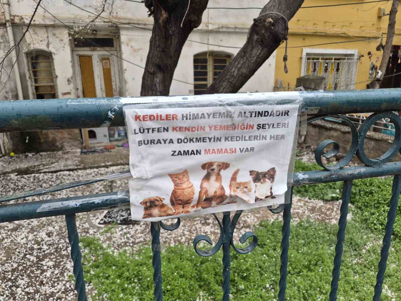 ESKİŞEHİR'DE HAYVANSEVERLER TARAFINDAN SOKAK HAYVANLARININ BESLENDİĞİ BİR EVİN BAHÇE KORKULUĞUNA...