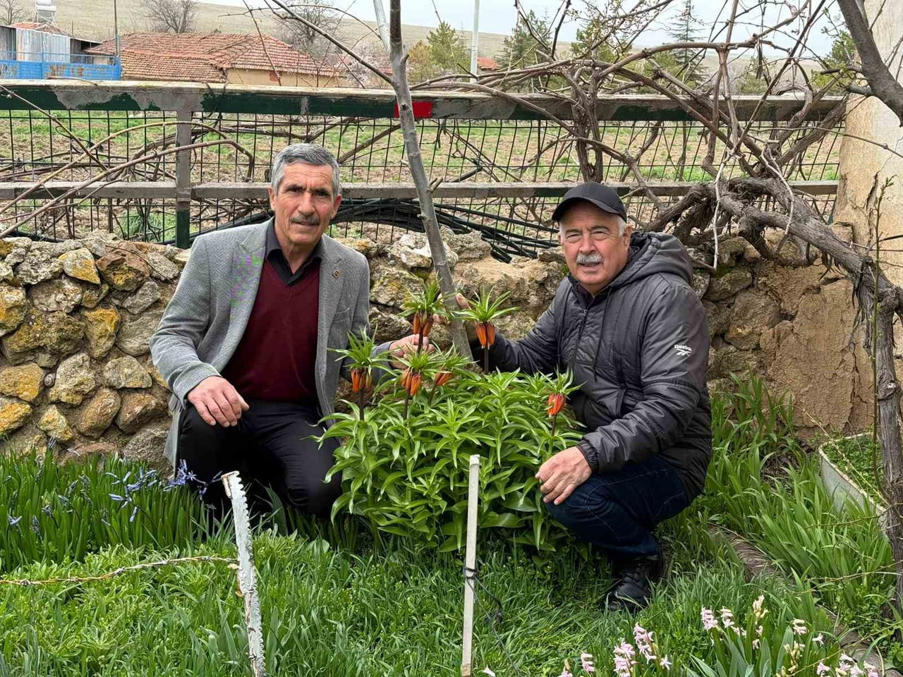 ESKİŞEHİR’İN SEYİTGAZİ İLÇESİ DEĞİŞÖREN MAHALLESİ, İLKBAHARLA BİRLİKTE ÇİÇEK AÇAN VE YÖREDE...