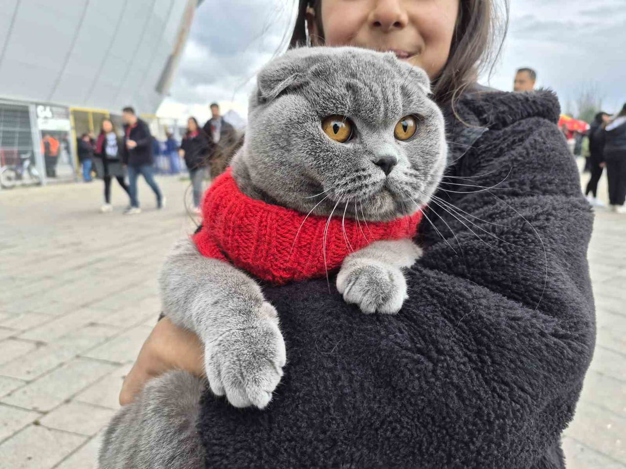 ESKİŞEHİRSPOR TARAFTARI ARİFE MASAL SARITAŞ, KÜTAHYASPOR MAÇINA SİYAH-KIRMIZILI GİYDİRDİĞİ KEDİSİ...