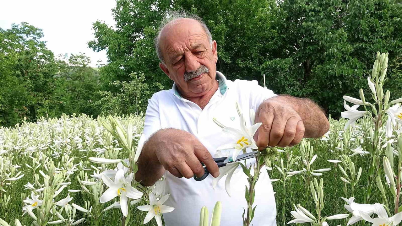 FİKRET AYDEMİR (ARŞİV)