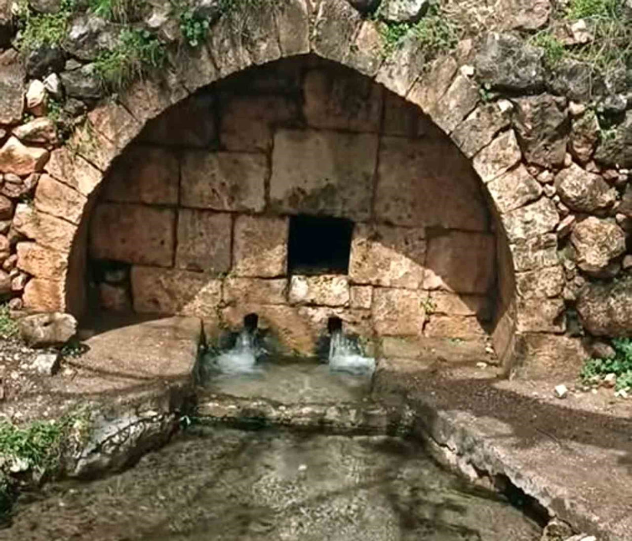 GAZİANTEP’İN ARABAN İLÇESİ ZİRAAT ODASI VE SARIMSAK ÜRETİCİ BİRLİĞİ BAŞKANI HASAN ALTUN, İLÇEDEKİ...