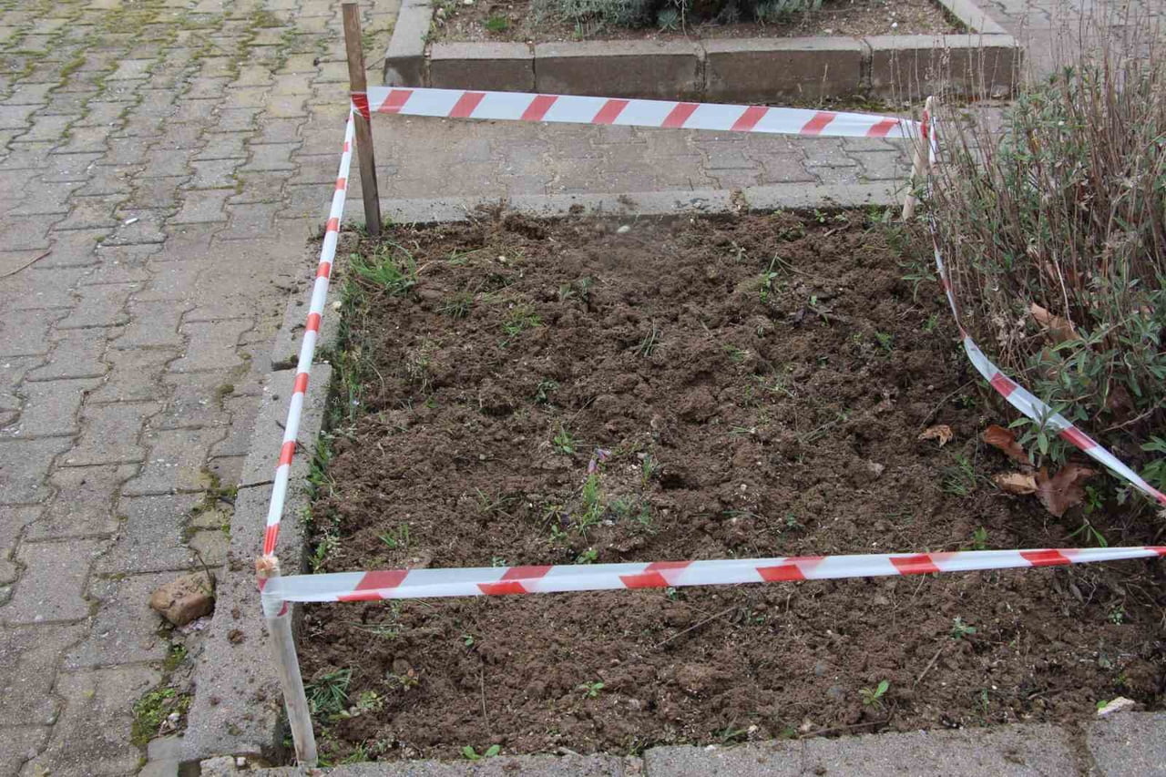 GEDİZ MYO KAMPÜSÜNDE DOĞA SÜRPRİZİ