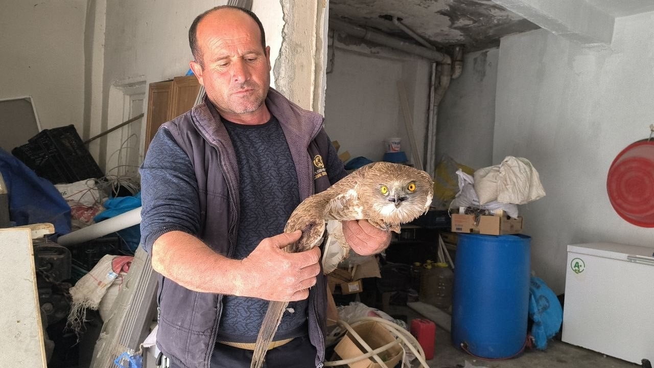 GERCÜŞ İLÇESİNDE BAĞ BUDAMA İŞLERİYLE UĞRAŞAN EDİP TURGUT, ÇALIŞMA YAPTIĞI ALANIN YAKININDAKİ...