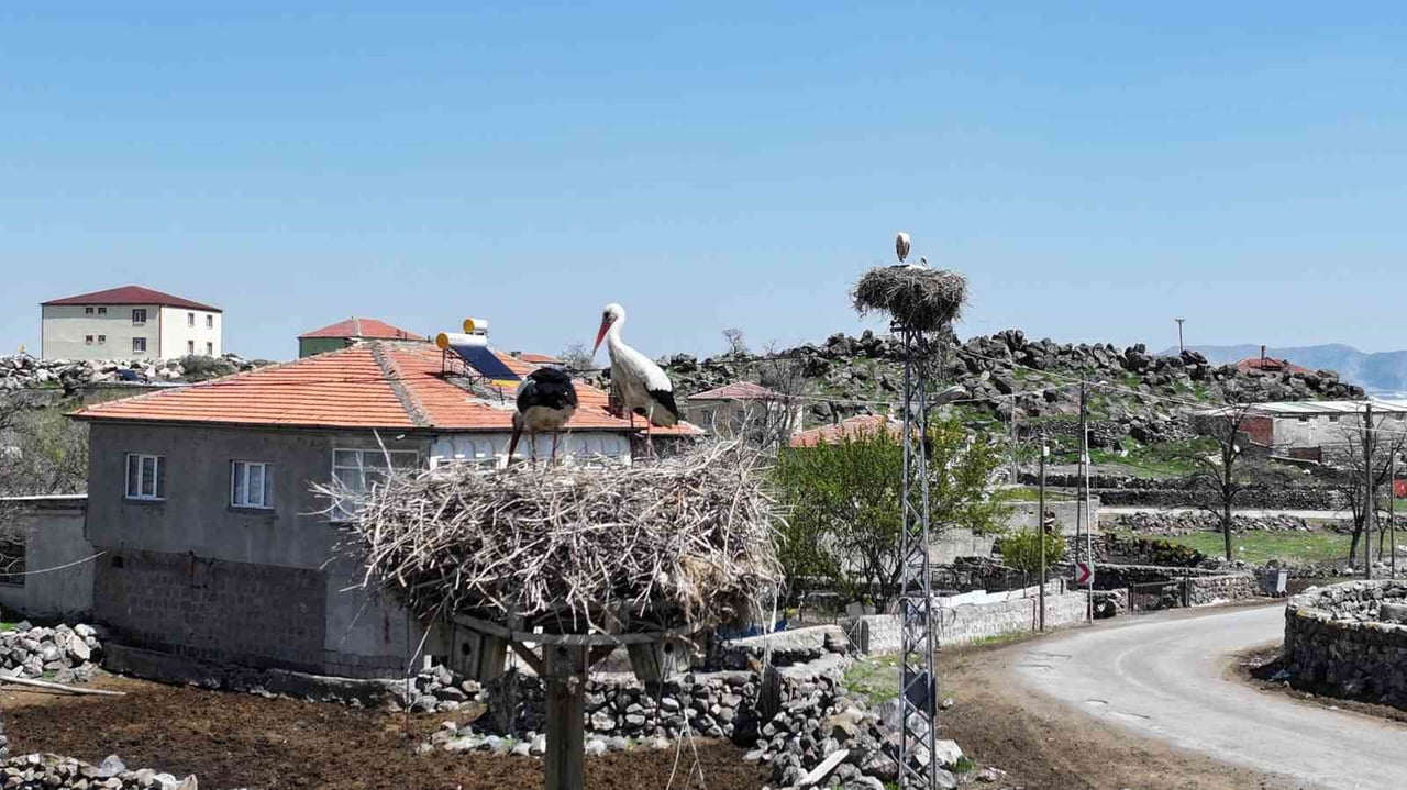 HACILAR BELEDİYE BAŞKANI BİLAL ÖZDOĞAN; BAHARIN GELİŞİYLE BİRLİKTE HÜRMETÇİ SAZLIĞI’NIN YENİDEN...