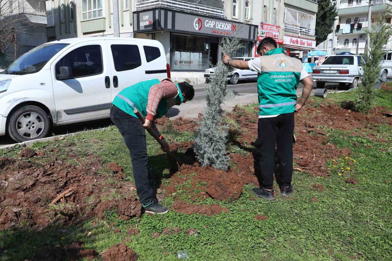 HALİLİYE’DE YAZ ÖNCESİ PARKLARDA HUMMALI ÇALIŞMA