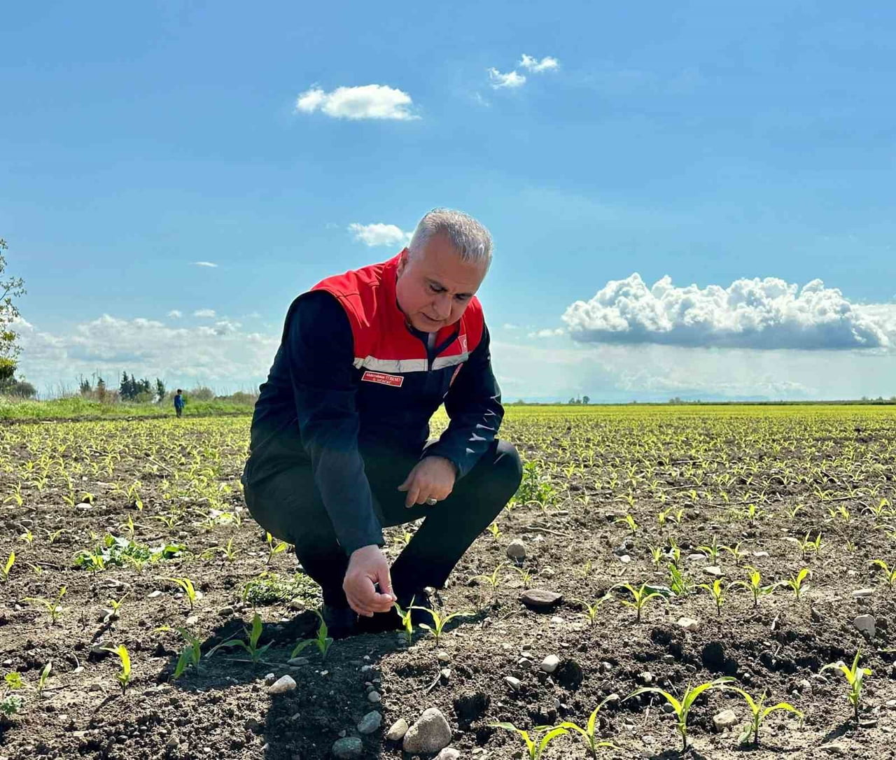 HATAY İL TARIM VE ORMAN MÜDÜRÜ ABDURRAHMAN TÜRKMEN, KIRIKHAN İLÇESİNDE MISIR EKİLİ ALANLARDA...