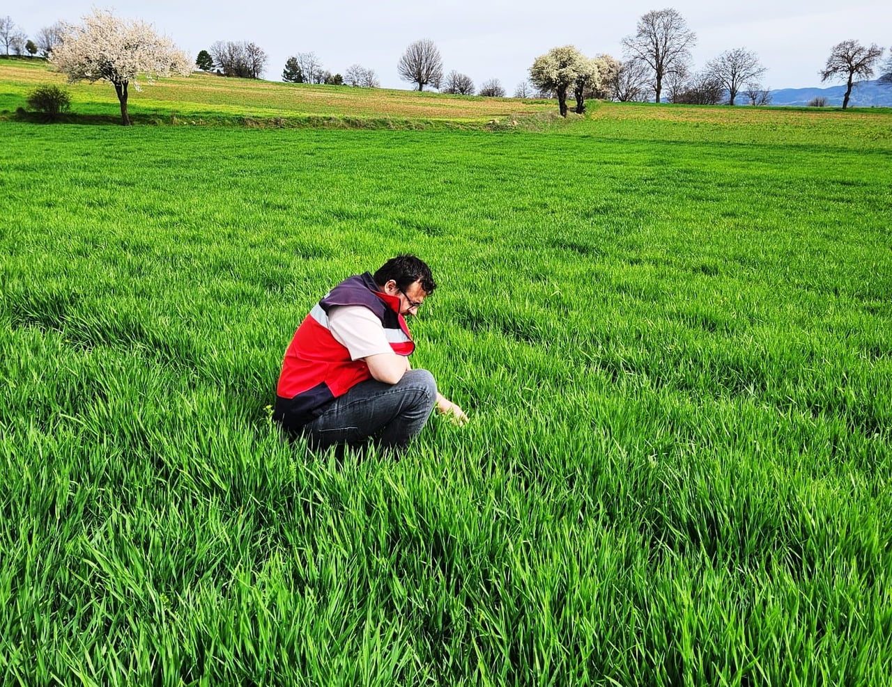 HİSARCIK’TA TARIMSAL SAHA ÇALIŞMALARI YAPILDI