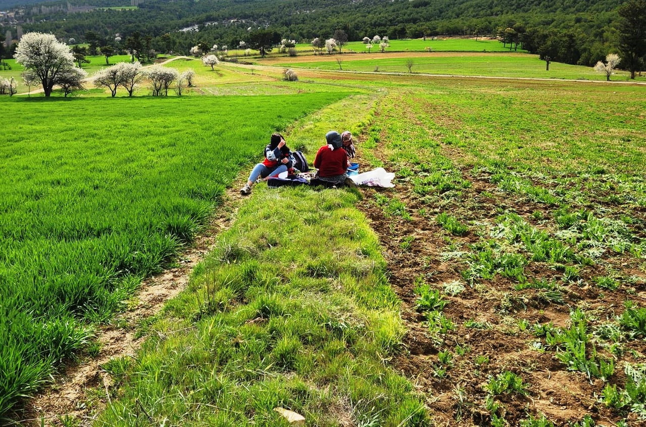 HİSARCIK’TA TARIMSAL SAHA ÇALIŞMALARI YAPILDI