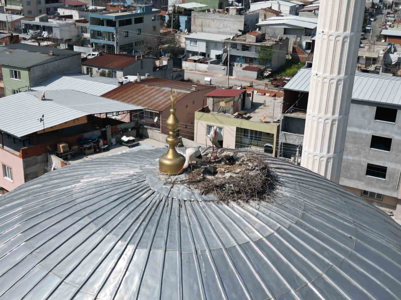 HZ. İBRAHİM CAMİİ'NİN KUBBESİNE 6 YIL ÖNCE YUVA YAPAN İKİ LEYLEK, HER YIL AYNI DÖNEMDE YUVALARINA...