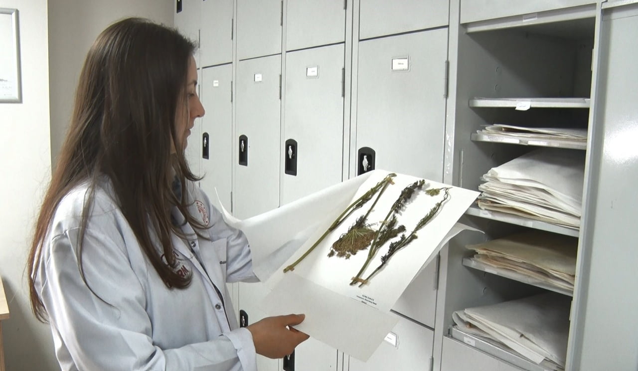 İRAN BAŞTA OLMAK ÜZERE BÖLGESEL GERİLİMLERİN GÖLGESİNDE GIDA GÜVENLİĞİ YENİDEN GÜNDEME GELİRKEN...