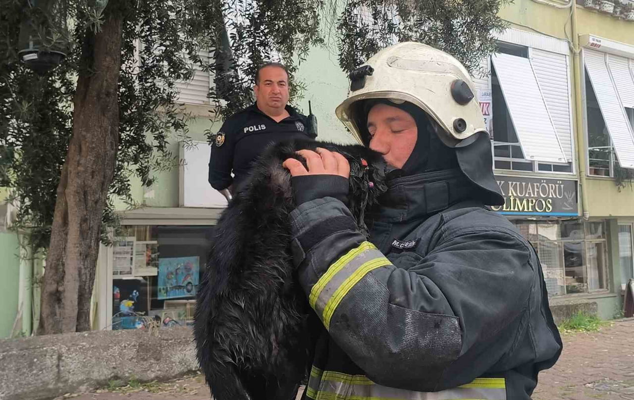 İTFAİYE EKİPLERİ DUMANDAN ETKİLENEN KEDİYİ KALP MASAJI İLE HAYATA DÖNDÜRDÜ.
