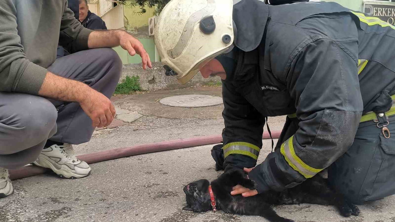 İTFAİYE EKİPLERİ DUMANDAN ETKİLENEN KEDİYİ KALP MASAJI İLE HAYATA DÖNDÜRDÜ.