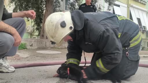 İtfaiye eri yangında dumandan etkilenen kediyi kalp masajı ile hayata döndürdü