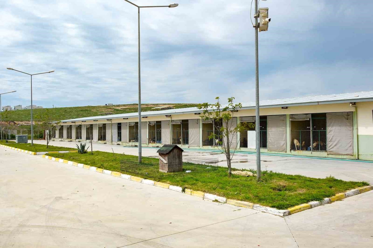 İZMİR'DEKİ İLÇE BELEDİYELERİ ARASINDA GECE DE HİZMET VEREN TEK HAYVAN AMBULANSINA SAHİP MENEMEN...