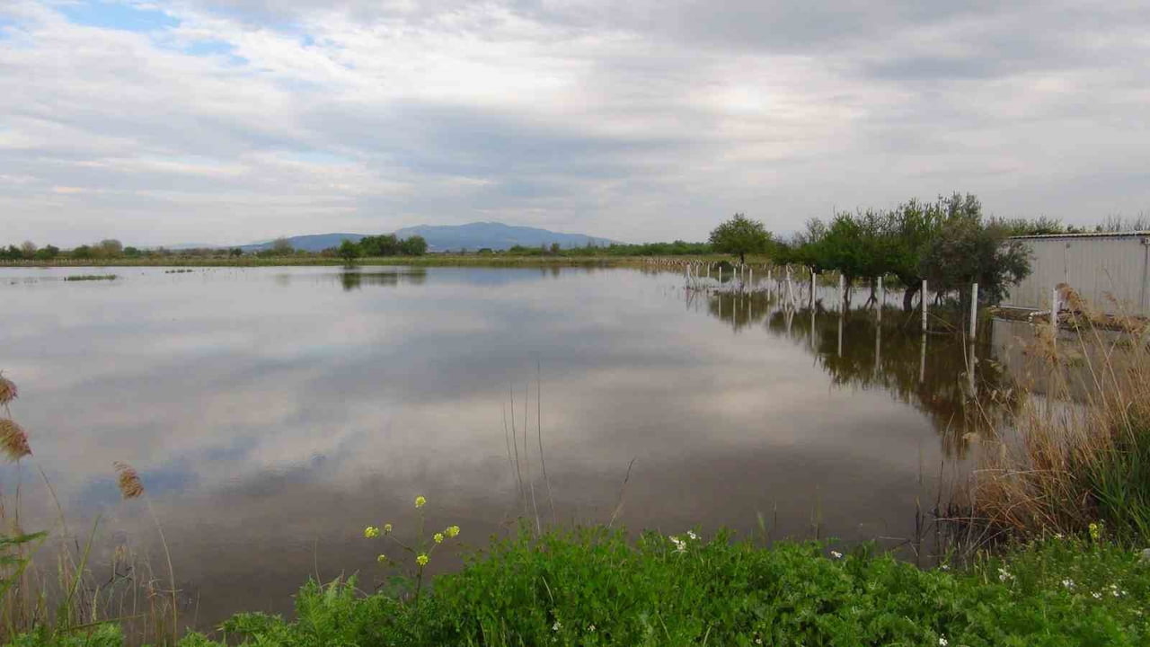 İZMİR’İN MENEMEN İLÇESİNE BAĞLI MUSABEY MAHALLESİ’NDE TAŞKINDAN ETKİLENEN ALANLARI İNCELEYEN...