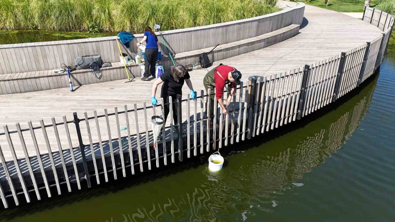 İZMİT MİLLET BAHÇESİ’NDEKİ GÖLETTE SU KALİTESİNİ ARTIRMAK VE EKOSİSTEMİ GÜÇLENDİRMEK AMACIYLA...