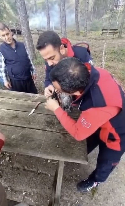 KADİRLİ İLÇESİNDE AĞACA TAKILAN KARGA, İTFAİYE EKİPLERİNİN MÜDAHALESİYLE KURTARILARAK YENİDEN...