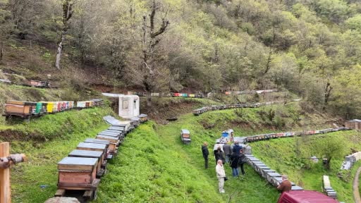 Kafkas Arısı Gen Merkezi’ne teknik inceleme