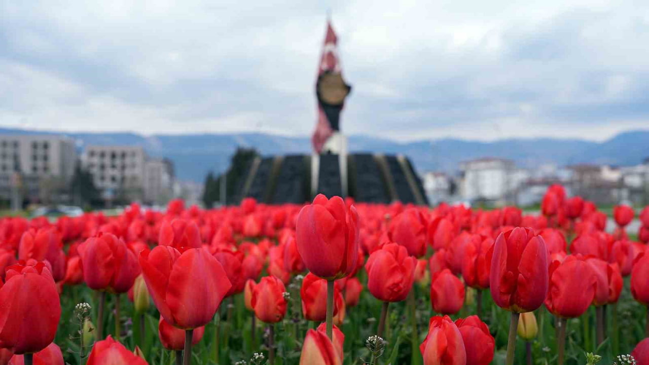 KAHRAMANMARAŞ'TA BELEDİYE EKİPLERİ, TOPRAKLA BULUŞTURDUĞU ÇİÇEKLER HAVALARIN ISINMASIYLA ŞEHRE...