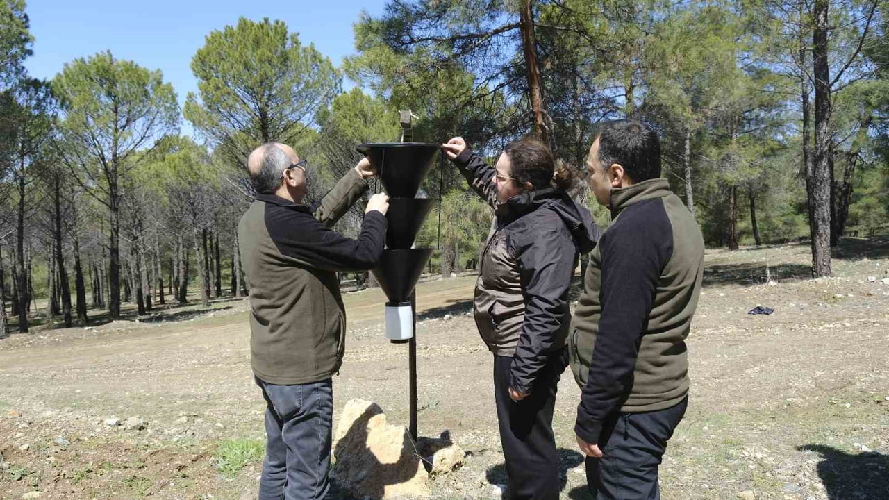 KAHRAMANMARAŞ'TA ORMAN ZARARLILARINA KARŞI MÜCADELE ÇERÇEVESİNDE EKİPLER SAHADA İNCELEMEDE...