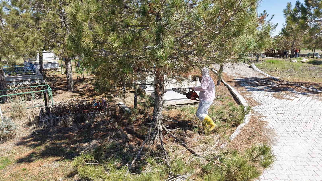 KAHRAMANMARAŞ BÜYÜKŞEHİR BELEDİYESİ, KUZEY İLÇELERDE BULUNAN TOPLAM 736 MEZARLIK ALANINDA KAPSAMLI...