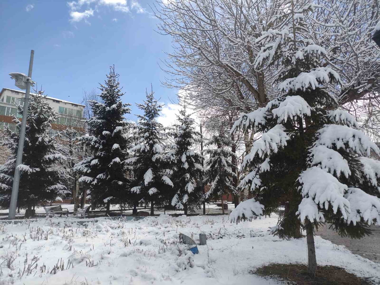 KAR YAĞIŞI SONRASI BEYAZA BÜRÜNEN AĞAÇLAR