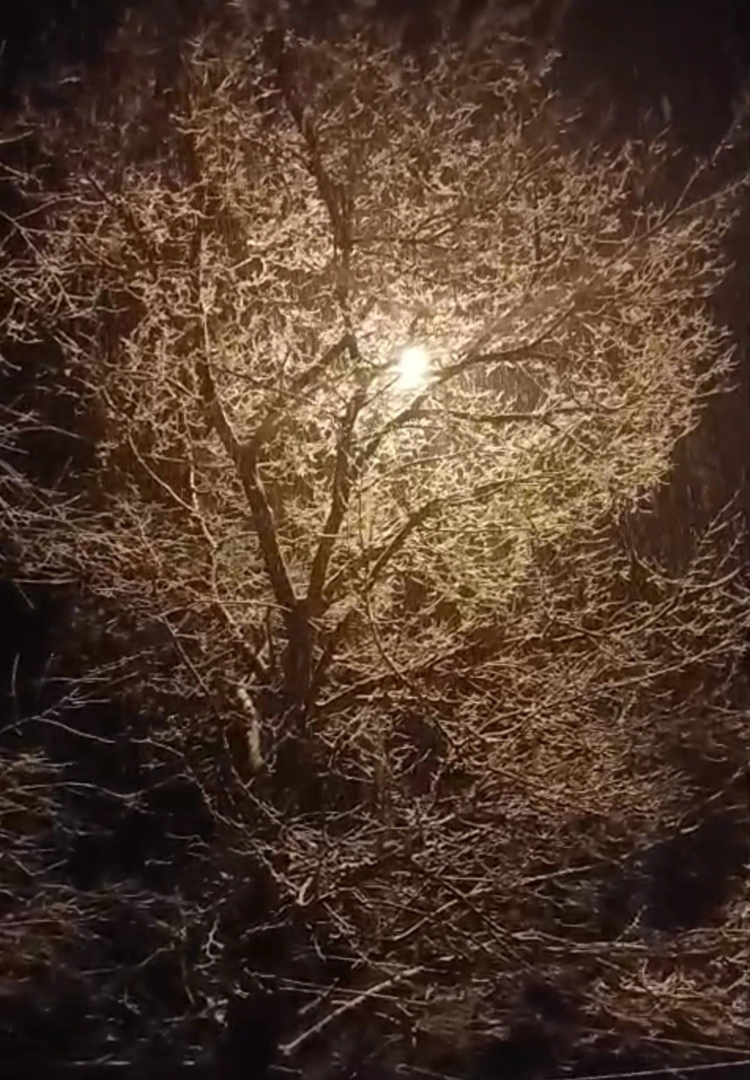 KARAKOÇAN’DA KAR YAĞIŞI ETKİLİ OLDU