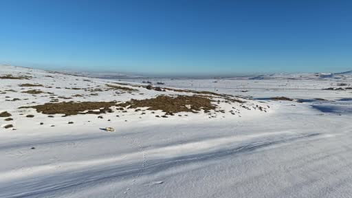 Karlı arazide yiyecek arayan tilki dron kamerasına yansıdı