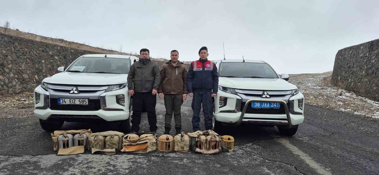 KARS’TA KAÇAK AVCILARA DARBE: 51 CANLI KEKLİK DOĞAYA KAZANDIRILDI(KARS-İHA)