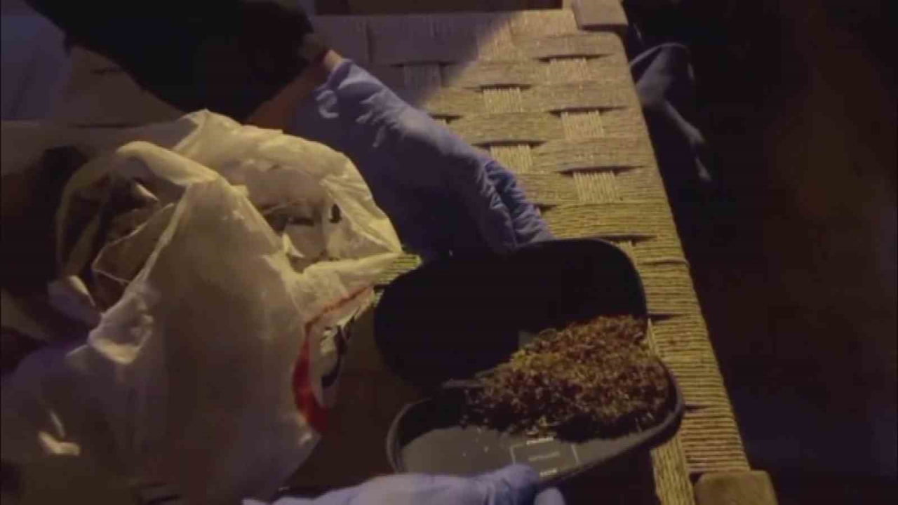 KASTAMONU’DA İL EMNİYET MÜDÜRLÜĞÜ EKİPLERİNCE DÜZENLENEN UYUŞTURUCU OPERASYONUNDA 6 ŞÜPHELİ ŞAHIS...