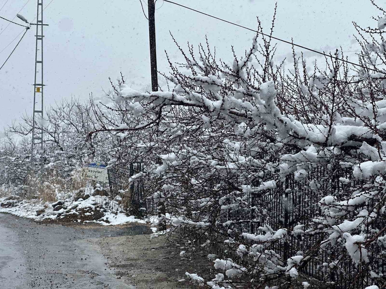 KAYISI BAHÇELERİ KAR ALTINDA