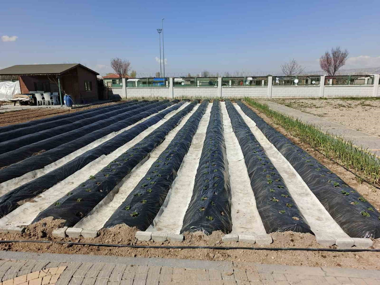 KAYSERİ BÜYÜKŞEHİR BELEDİYESİ TARAFINDAN HAYATA GEÇİRİLEN DOĞAL ÜRÜNLER BAHÇESİ VE PAZARI’NDA YENİ...