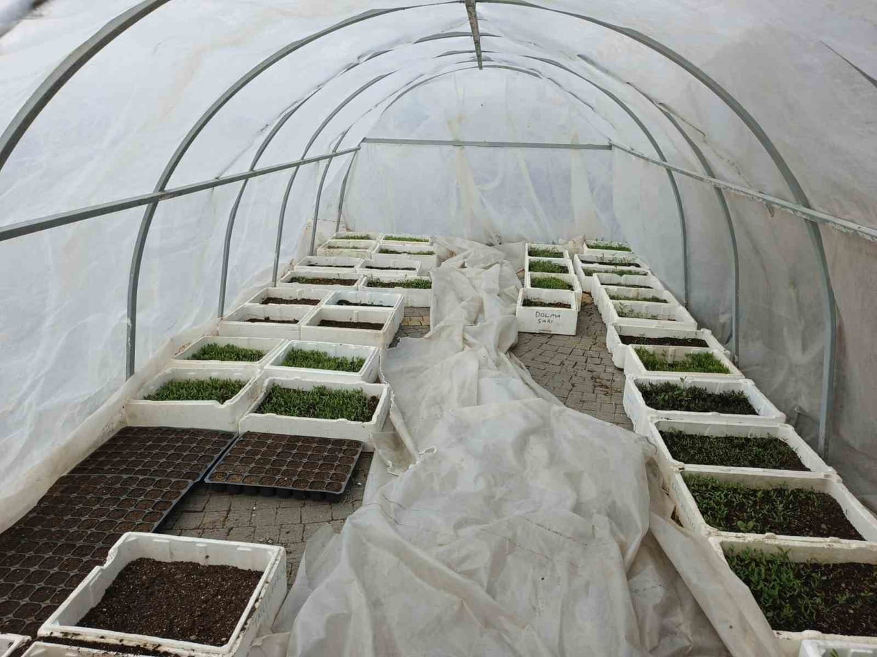 KAYSERİ BÜYÜKŞEHİR BELEDİYESİ TARAFINDAN HAYATA GEÇİRİLEN DOĞAL ÜRÜNLER BAHÇESİ VE PAZARI’NDA YENİ...