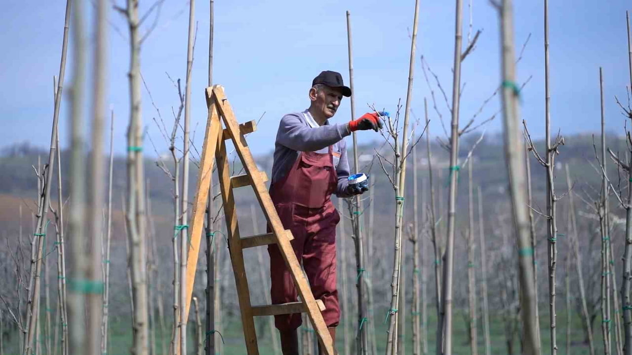 KESTEL BELEDİYESİ, BAHAR MEVSİMİ ÖNCESİNDE İLÇE GENELİNDE BAŞLATTIĞI PEYZAJ, TEMİZLİK VE BAKIM...